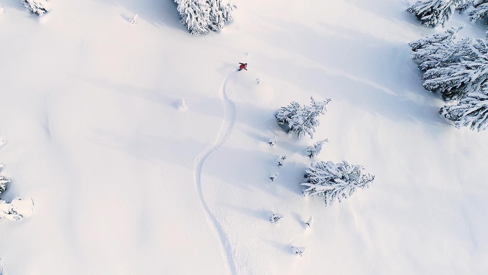 Flugaufnahme einer Skifahrerin außerhalb der Piste im Tiefschnee